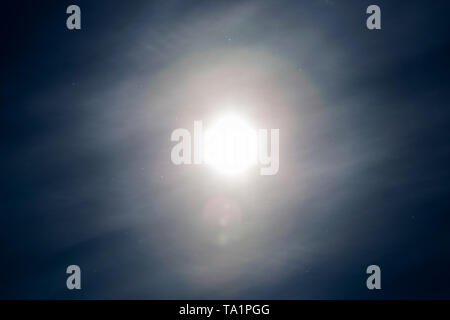 Staubpartikel in der Luft auf und blauer Himmel mit Sonne und Feather Cloud am Frühling Tag fliegen. Stockfoto