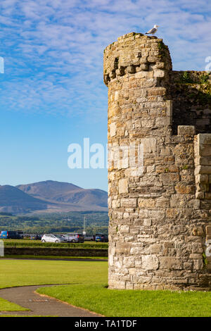 Beaumaris ANGLESEY Wales 12. Mai 2019 13./14. Jahrhunderts Beaumaris Castle Stockfoto