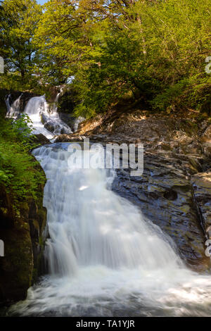 Swallow Falls Betws y Coed Conwy Wales Mai 14, 2019 Am Fluss Llugwy, als sie fällt über Swallow Falls Stockfoto
