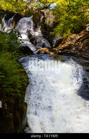 Swallow Falls Betws y Coed Conwy Wales Mai 14, 2019 Am Fluss Llugwy, als sie fällt über Swallow Falls Stockfoto