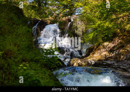 Swallow Falls Betws y Coed Conwy Wales Mai 14, 2019 Am Fluss Llugwy, als sie fällt über Swallow Falls Stockfoto