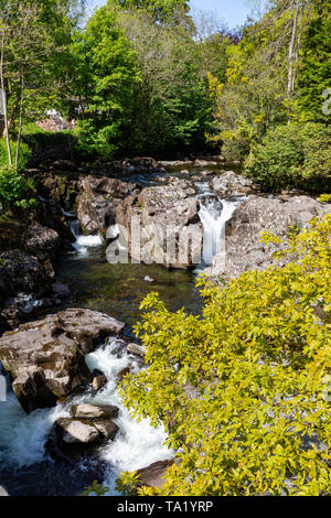 Betws y Coed Conwy Wales Mai 14, 2019 Kleine fällt auf den Fluss Llugwy, wie es durch das Dorf fließt Stockfoto