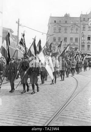 Uniformierte Mitglieder der DNVP (Deutsche Nationale Volkspartei) März über den Straßen von Stettin während der Rallye der deutschen Staatsangehörigen. Stockfoto