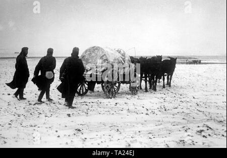 Nach der verlorenen Schlacht von Moskau deutsche Soldaten zum Rückzug zu den 'Winter position' mit Pferdekutschen. (PK Foto: kriegsberichterstatter K. Mueller). Stockfoto