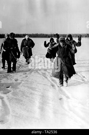 Sowjetische Soldaten mit erhobenen Händen befinden sich in der hinteren Leitungen durch SS-Einheiten gebracht. Foto der Propaganda Firma (PK): kriegsberichterstatter Tufts. Stockfoto