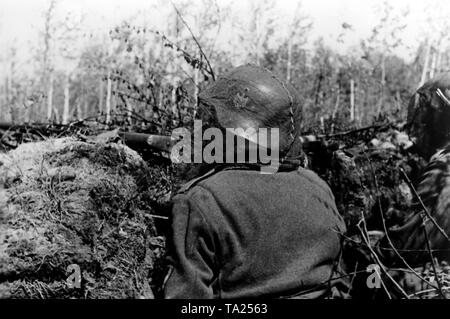 Deutsche Soldaten hinter einem Hügel südöstlich des Ilmensees See am nördlichen Sektor der Ostfront. Um sich vor Mücken schützen, die Soldaten haben einen Schleier über das Gesicht gezogen. Foto der Propaganda Firma (PK): kriegsberichterstatter Etzold. Stockfoto