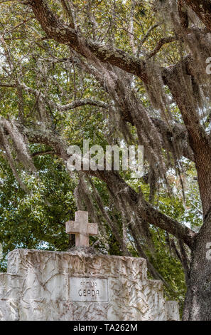 Spanische Moos und Live Oak in der Alten Französischen Friedhof, Biloxi, Mississippi, USA.