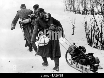 Wehrmachtssoldaten tragen ihre Ausrüstung und Waffen durch den Schnee mit Hilfe einer kleinen Schlitten westlich von Moskau. Auf dem Schlitten ist ein panzerabwehr Waffe. Seit Anfang Dezember die deutsche Armee gezwungen, die nach Westen durch die sowjetische Gegenoffensive bewegen. (PK Foto: kriegsberichterstatter Bauer). Stockfoto