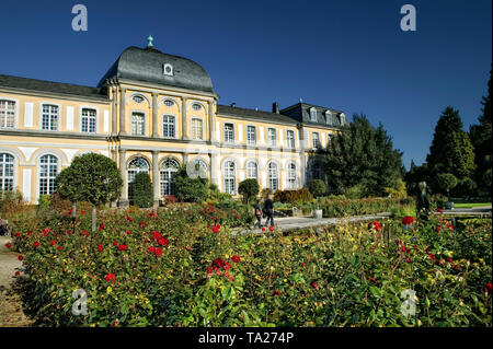 Poppelsdorfer Schloss, Botanischer Garten, Bonn, Deutschland, Europa Stockfoto