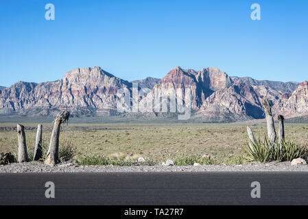 Der Red Rock Canyon National Conservation Area. Las Vegas, Nevada, USA. Stockfoto