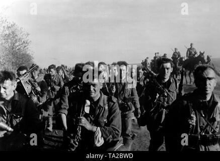 Deutsche Infanteristen, bewaffnet mit Karabiner 98, März über den Donez vorne in Richtung Stalingrad. Ein Soldat mit einem Maschinengewehr 34 über seine Schulter. Im Hintergrund Soldaten zu Pferd. Kriegsberichterstatter: Stockfoto