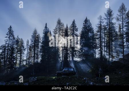 Ein 4x4 Auto in einem Wald mit hohen Bäumen mit Sonnenlicht scheint durch Stockfoto