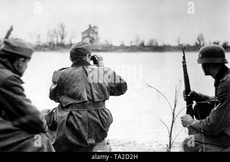 Ein deutscher Offizier Uhren der Bank des Lowat (nordwestlich von Demyansk) auf der gegenüberliegenden Seite mit dem Fernglas. Nach dem ersten Konzentration der Truppen der Entlastung Angriff und der Beschlagnahme am 30. April 1942 wurde die passsage wurde weiter geöffnet, wie hier im Mai. Foto der Propaganda Firma (PK): SS Kriegsberichterstatter Gotschmann. Stockfoto