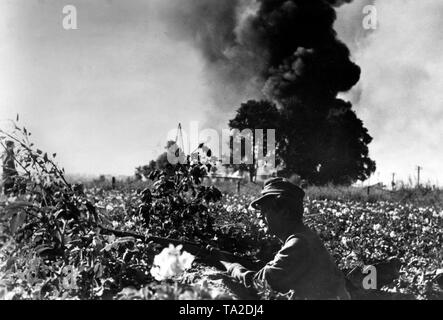 Ein deutscher Soldat sucht Abdeckung von der sowjetischen Artillerie Feuer in einem Feld. Im Hintergrund, Rauch steigt aus den schlagen Granaten. Die Operation Bagration führt zum Zusammenbruch der Heeresgruppe Mitte. Foto der Propaganda Firma (PK). Stockfoto