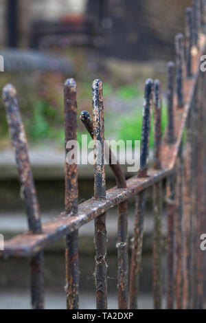 Alte Holzzaun. Stockfoto