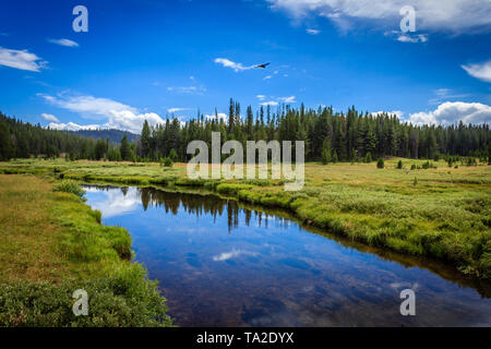 Bear Creek Valley windet sich durch die Boise National Forest Stockfoto