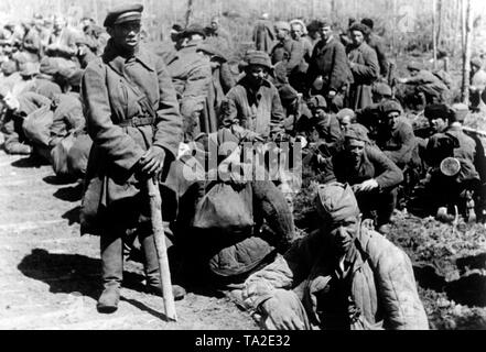 Sowjetische Kriegsgefangene in einem Lager im Nordabschnitt der Ostfront. Sie sind in der Nähe des Flusses Wolchow, nach dem Scheitern des sowjetischen spring Offensive (Lybuban offensive Operation) entfernt. Foto der Propaganda Firma (PK): kriegsberichterstatter Schuerer. Stockfoto