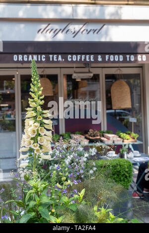 Blumenarrangement außerhalb Daylesford Organic shop für Chelsea in der Blüte 2019 in Pimlico Road. Belgravia, London, England Stockfoto