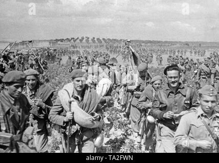 Foto von Soldaten eines Netzteil von Francos Truppen marschieren in Toledo, Kastilien-La Mancha Ende März, 1939. Die Soldaten marschieren und die regimental Standard und Fahnen tragen. Sie sind mit Karabiner bewaffnet. Rechts in der Front, ein Offizier im Rang eines Capitan (Kapitän), hinter ihm ein Teniente (Leutnant) in Lederjacke und Baskenmütze mit Brille. Im Hintergrund sind Olivenbäume. Stockfoto