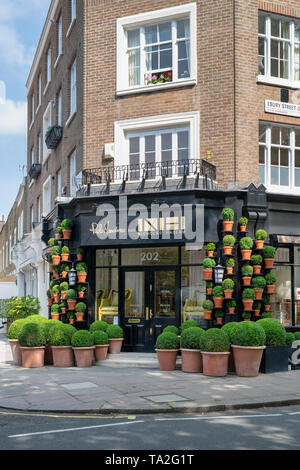 Buxus sempervirens. Runde box Hedge Formgehölze in Pflanzen Töpfe außerhalb Nicholas Haslam shop in die Ebury Street. Belgravia, London, England Stockfoto