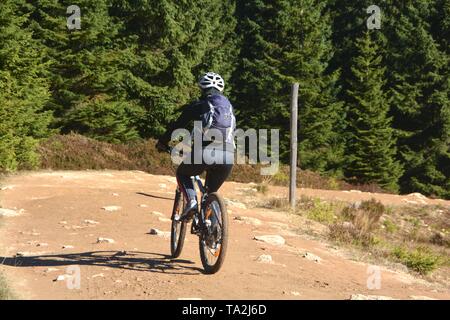 Ein Radfahrer auf dem Weg vom Gipfel des Brocken im Nationalpark Harz Stockfoto