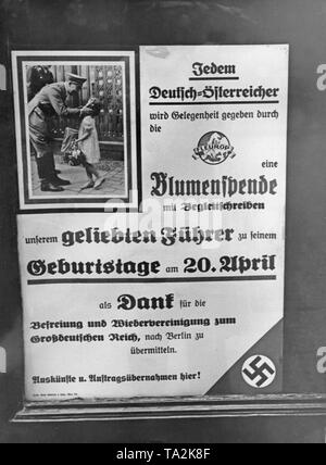 Werbung für Blumen Spenden an Adolf Hitler im Österreichischen Blumengeschäften. Nach den "Anschluss" Österreichs an das Deutsche Reich, dem Geburtstag des Führers ist in Österreich gefeiert. Stockfoto