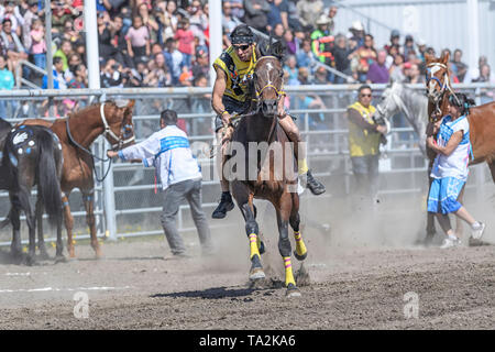 Kehewin erste Nationen indischen Relais (Pferd) Rennen, in Bonnyville Alberta Kanada statt Stockfoto