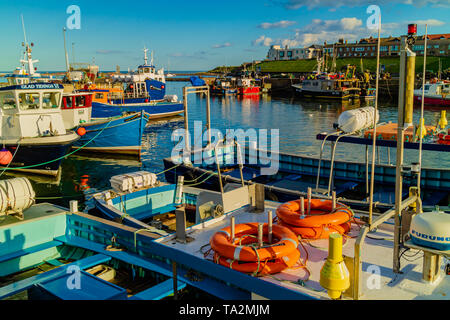 Boote in Nevsehir Hafen, Northumberland, Großbritannien. September 2018. Stockfoto