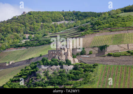 Ruine Burg Ehrenfels, Weltkulturerbe der UNESCO, Bingen am Rhein, Oberes Mittelrheintal, Rheinland-Pfalz, Deutschland Stockfoto