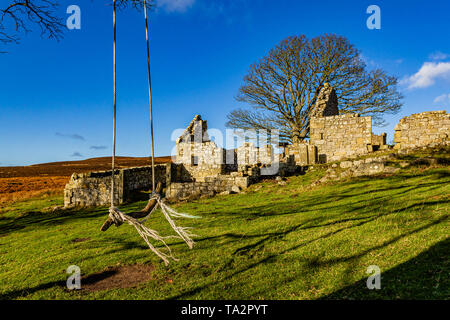 Eine Schaukel neben den Ruinen von Blawearie Bauernhaus auf Bewick Moor in der Nähe der Cheviot Hills, Northumberland, Großbritannien. November 2018. Stockfoto