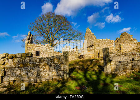 Die Ruinen von Blawearie Bauernhaus auf Bewick Moor in der Nähe der Cheviot Hills, Northumberland, Großbritannien. November 2018. Stockfoto