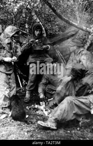 Deutsche Soldaten warm sich und ihre Nahrung durch ein kleines Lagerfeuer in den Beskiden. Sie haben das Lager unter Bäumen, die sich ab Herbst Regen zu schützen. Foto der Propaganda Firma (PK): Kriegsberichterstatter Knaack. Stockfoto