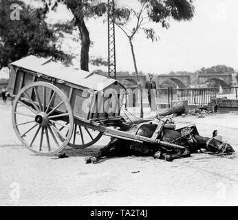Foto eines Pferdes durch einen Bombenanschlag in einer Stadt in Soania im Sommer 1936 getötet. Das Pferd hatte zuvor in einen Warenkorb genutzt worden. Im Hintergrund, einen Passanten beobachtet die Szene. Stockfoto