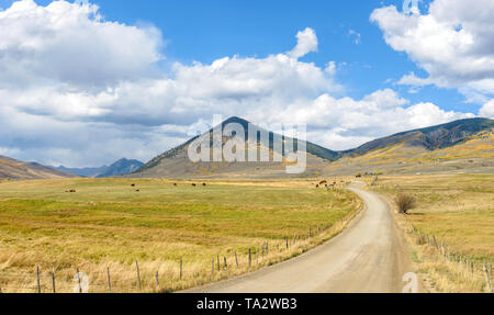 Herbst Mountain Ranch - Herbst Blick auf Rinder Ranch in einem Tal in der Nähe der Stadt Crested Butte, Colorado, USA. Stockfoto