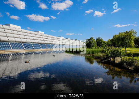 Gelsenkirchen, Ruhrgebiet, Nordrhein-Westfalen, Deutschland - Wissenschaftspark Gelsenkirchen, im Zusammenhang mit der IBA Internationale208-4 entwickelt. Stockfoto