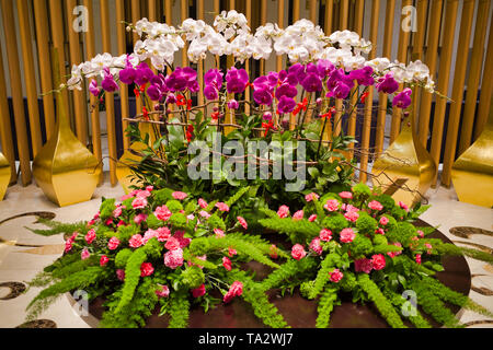 Insel Phu Quoc, Vietnam - März 27, 2019: Blüte Installation im Hotel Stockfoto