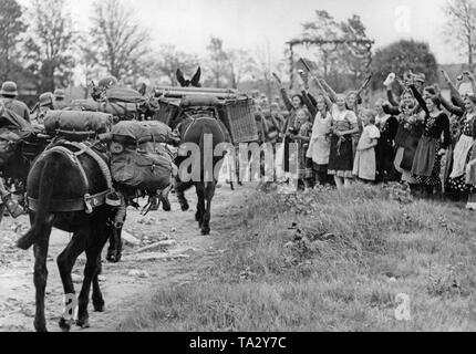Eine Karawane von maultieren der Gebirgsjaeger (Berg Soldaten) überquert die ehemalige Grenze in Haidmuehle German-Czechoslovak am 1. Oktober 1938. Leute begrüße sie fröhlich. Stockfoto