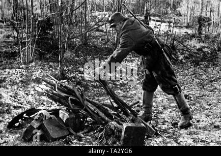 Ein deutscher Infanterist sammelt Russischen Gewehre nach einem erfolgreichen Gegenangriff. Stockfoto