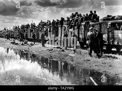 Ein Zug mit 'frischen' deutsche Soldaten auf dem Weg in die Litauische vorne im Sommer 1944. Während einer Pause im kämpfen, einige Soldaten nehmen die Chance, ein Rest in der Wiese zu haben. Foto der Propaganda Firma (PK): kriegsberichterstatter Ullrich. Stockfoto