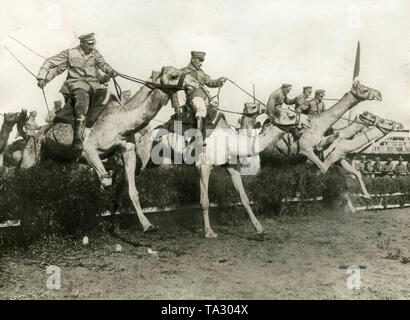 Die Camel Corps der Deutschen Schutztruppen waren vor allem während der Kämpfe gegen die Herero verwendet. Das Foto zeigt camel Riders während ein Hindernis Rennen an einem Training (undatiert). Stockfoto