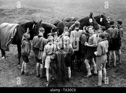 Mitglieder des Deutsches Jungvolk sind streicheln Rennpferde auf einem paddock. Stockfoto