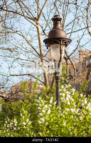 Pariser streetlight umgeben von Bäumen und Blumen Stockfoto