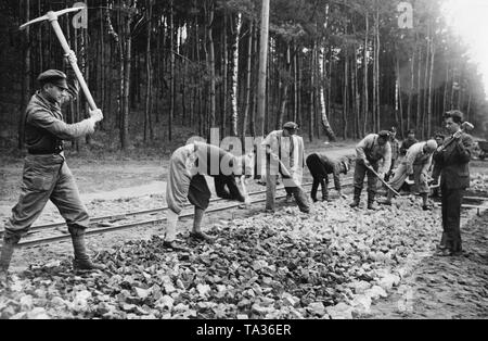 Abiturienten haben gerade in einem Camp in der Nähe von Frankfurt Oder kamen die Arbeiten als Teil des Freiwilliger Arbeitsdienst (freiwillige Arbeit). Im Bild helfen Sie mit Straßenbau arbeiten. Die abiturienten sind erkennbar durch ihre fehlende Arbeitskleidung. Stockfoto