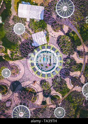 Luftaufnahme des Supertree Grove in Gärten durch die Bucht, Singapur