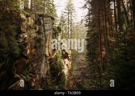 Sonnenstrahlen in beeindruckenden Berges hinabritt Pinien in Polen Stockfoto