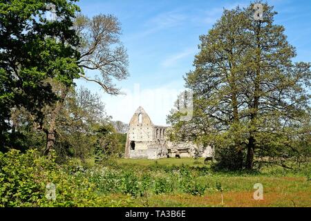 Die Ruinen der Abtei von Newark, ein Augustiner Kloster in der Nähe von Ripley und Pyrford Surrey England Großbritannien Stockfoto