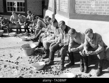 Mitglieder der Freiwilliger Arbeitsdienst (FAD) Schälen von Kartoffeln zusammen. Einer der Freiwilligen trägt ein Hakenkreuz Armbinde (Undatiertes Foto). Stockfoto