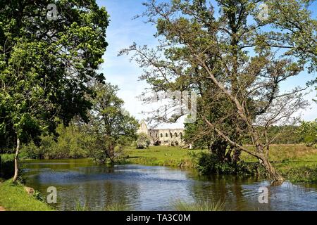 Die Ruinen der Abtei von Newark, ein Augustiner Kloster in der Nähe von Ripley und Pyrford Surrey England Großbritannien Stockfoto