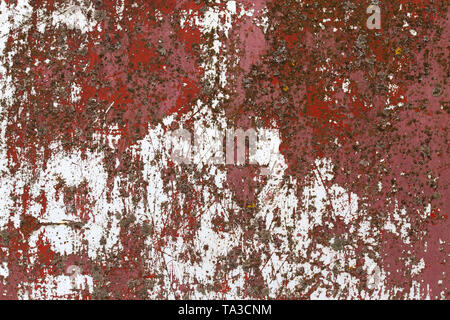 Eisenblech mit alten Rot über weiße Farbe und Flechten. Stockfoto