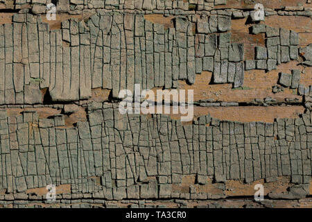 Closeup schoss der Peeling grüne Farbe auf horizontalen Holzbohlen unter direkter Sonneneinstrahlung verblasst Stockfoto